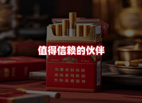 专业团队